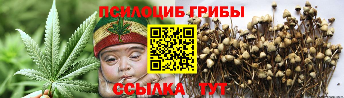 Галлюциногенные грибы Magic Shrooms Пермь